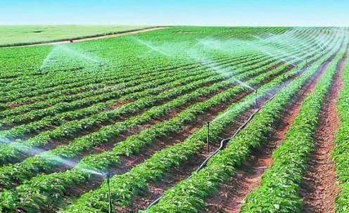 无码小鸡农田高 效节水灌溉